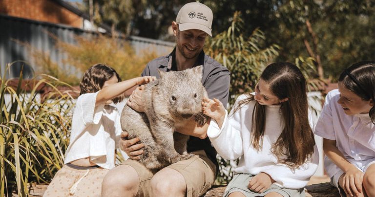 Eco-travel Reimagined: Discover Wild Escape Tiny Homes