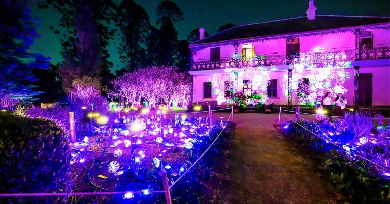 Echoes Lights up Bella Vista Farm