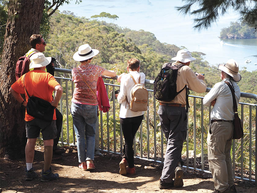 guided bushwalks