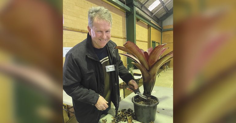 Learn Bromeliad Care From Expert Mark Belot In Sydney