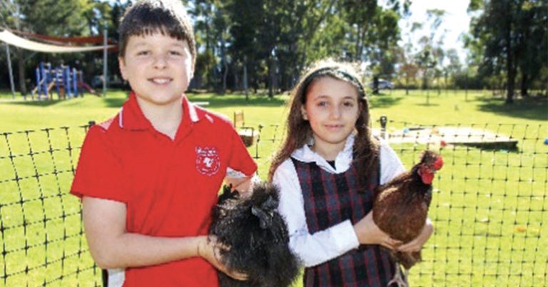 Small primary schools