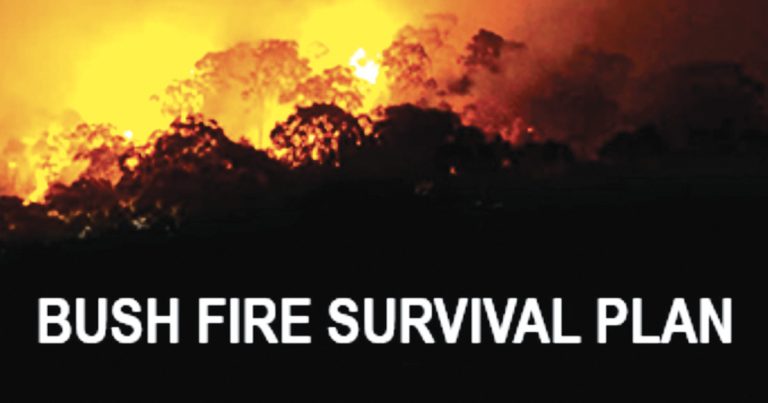 Bush Fire Permits And Safety Tips For NSW Residents