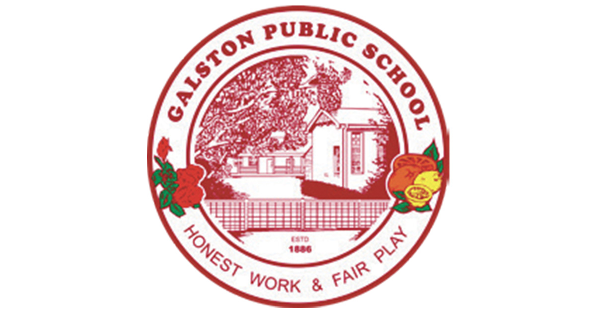 Galston Public School Excellent NAPLAN Results