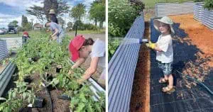 Dural Community Garden