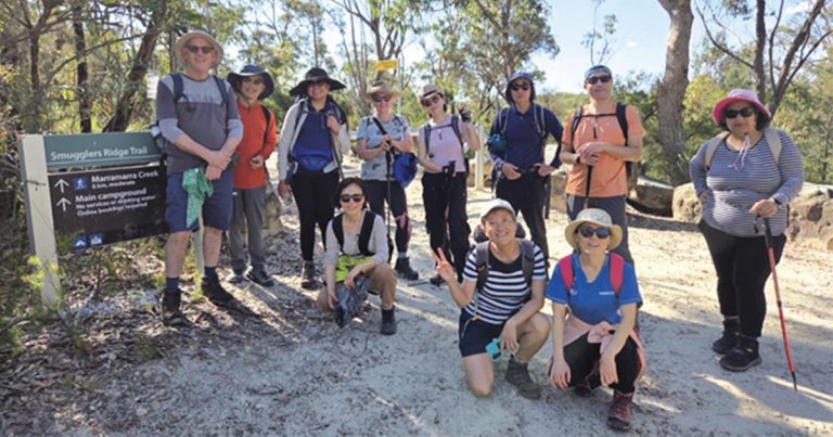 Guided Bush walks in Hornsby Council's Free Series