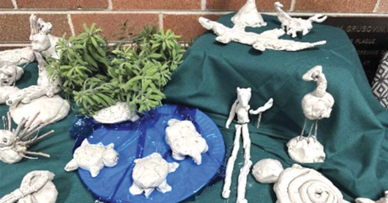 Creative Learning Strategy at Middle Dural Public School