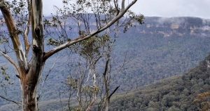 Hills District Zoning Changes Ignite New Debate