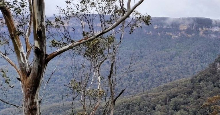 Hills District Zoning Changes Ignite New Debate