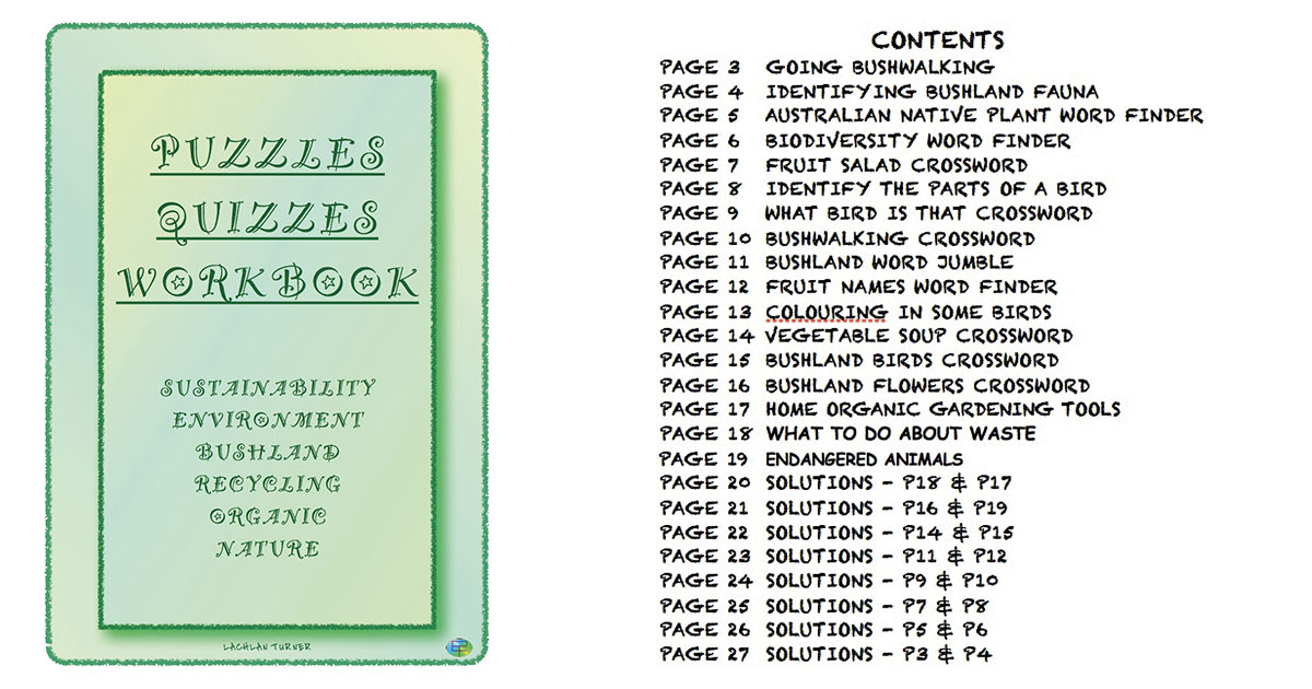 Hidden in the Hills: Puzzles Quizzes Workbook