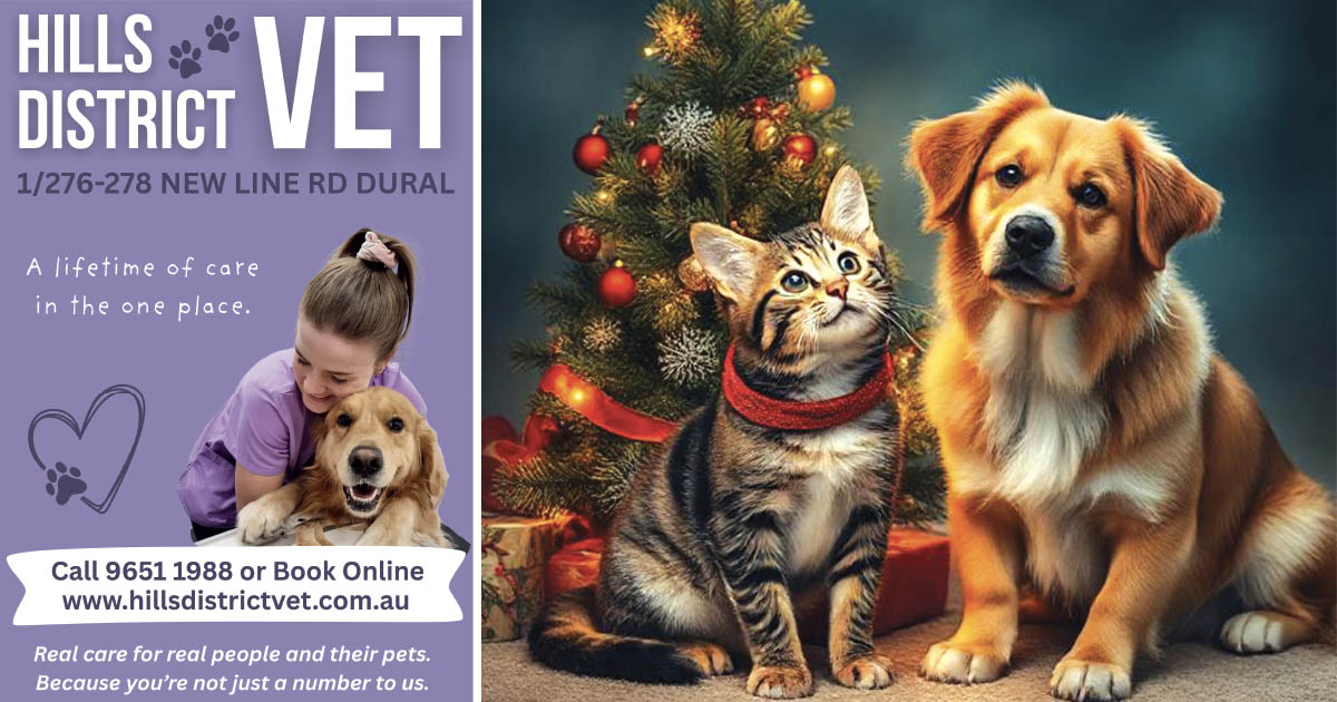 Keeping your Pets Safe this Festive Season