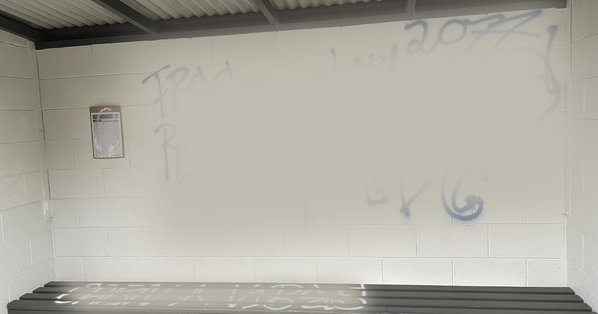 Action on Graffiti Crises