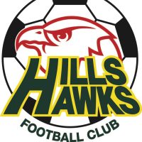 Hills Hawks Football Club Hills Hawks Football Club