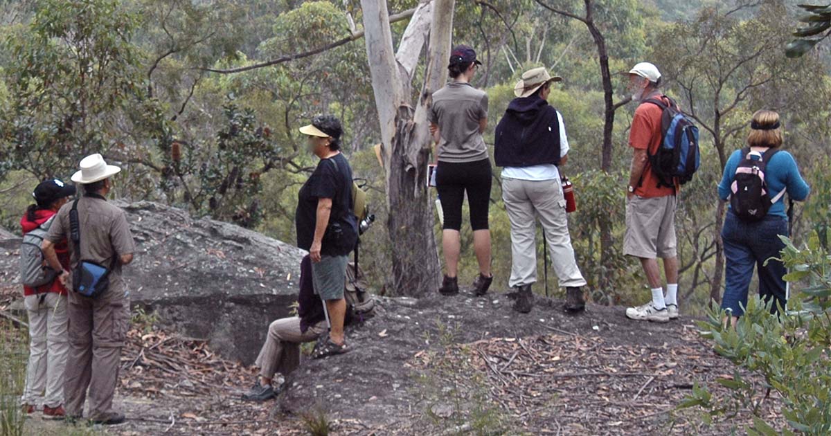 Hidden In The Hills: Bushwalking