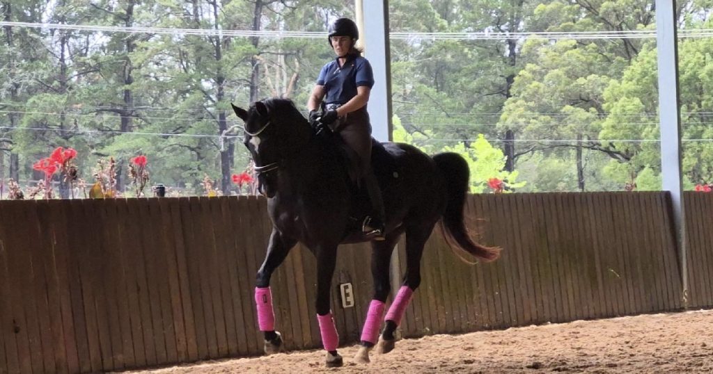 Equestrian Riders: The Arcadia Para Dressage Club