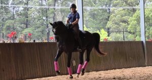 Equestrian Riders: The Arcadia Para Dressage Club