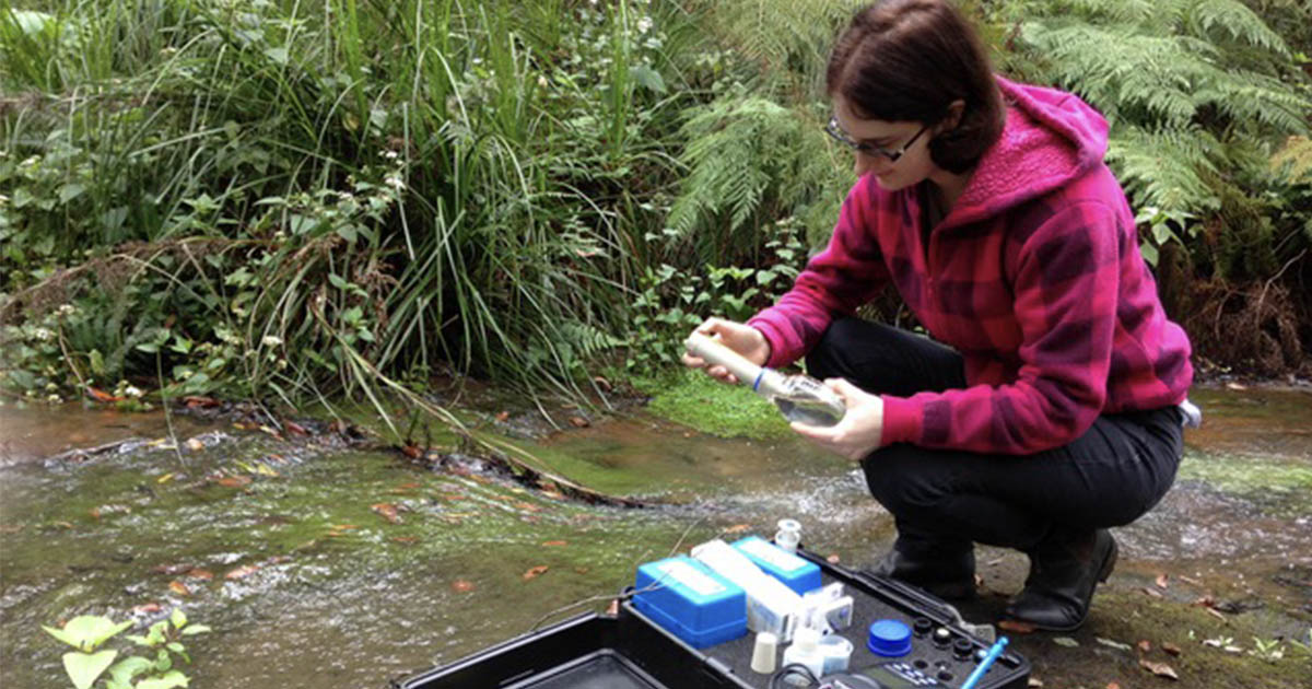Are Our Creeks Safe?