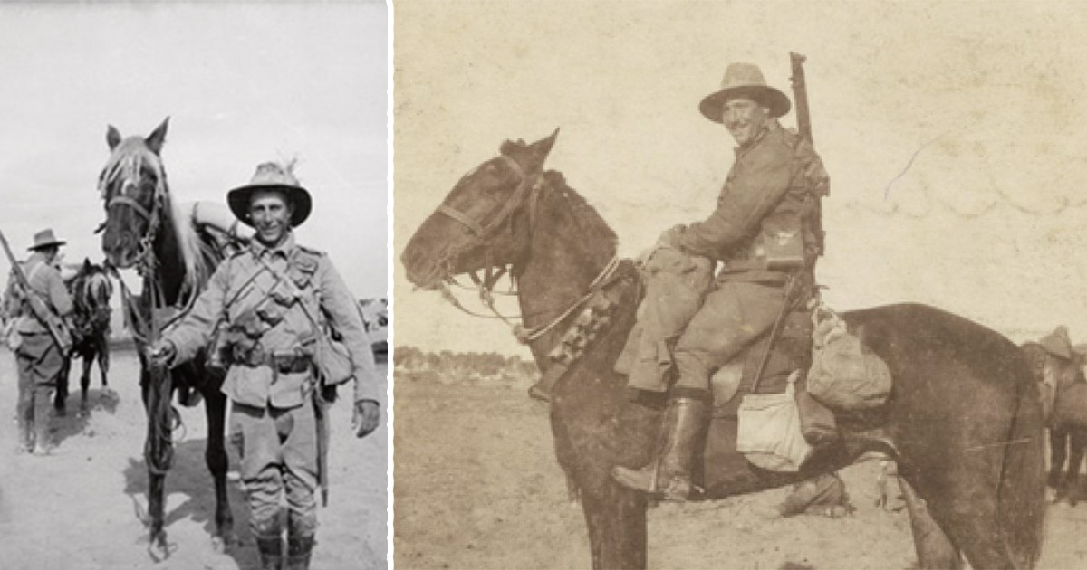 ANZAC Day at Fagan Park: A Tribute to War Horses