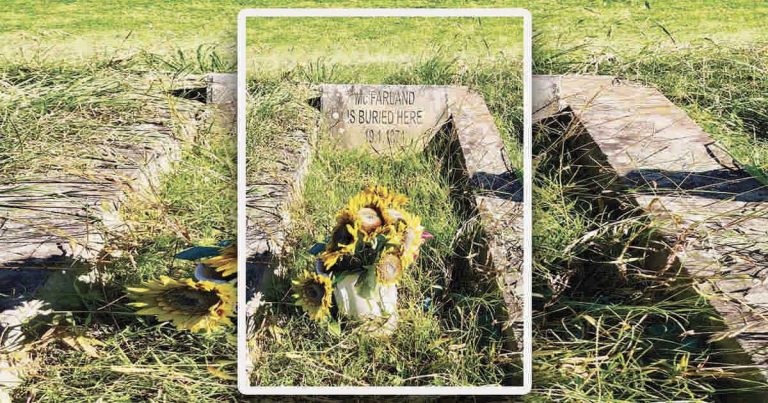 Mcfarland’s Grave, Beside Old Northern Road, Maroota