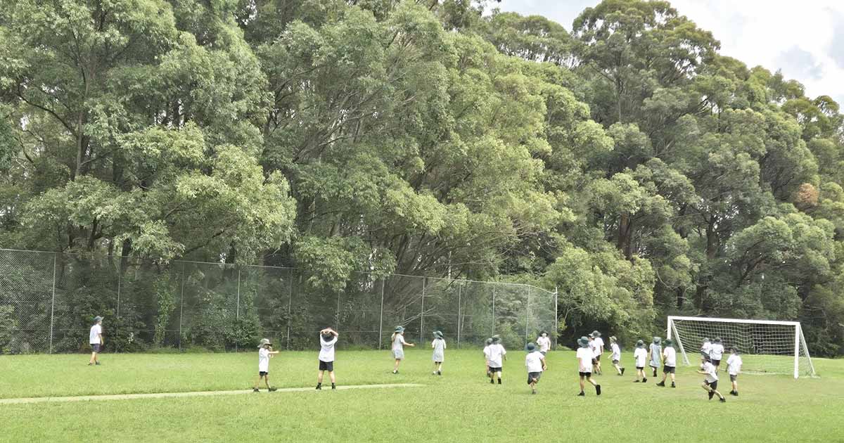 Arcadia Public School Starts Year with Personalised Learning