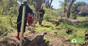 Landcare Spirit Shines in Fencing Job