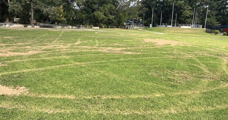 Vandals Cause Damage at Hayes Oval