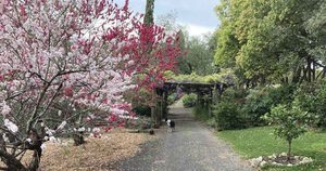 Worm Farming Talk at Galston District Garden Club