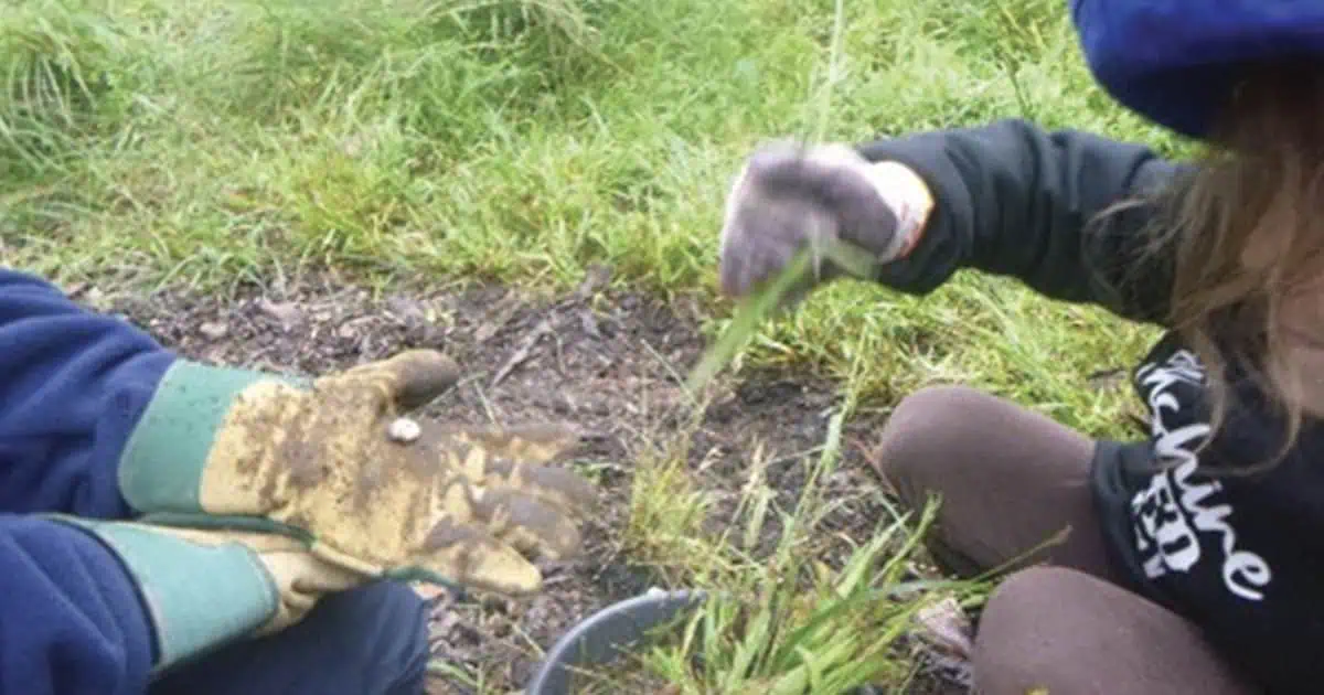 UnitingCare Galston Early Learning Centre – Bush Program