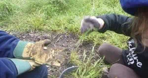 UnitingCare Galston Early Learning Centre – Bush Program