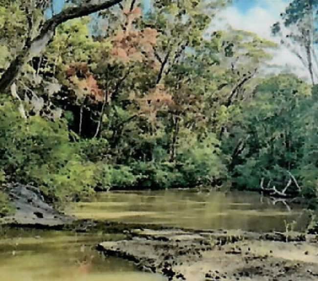 Dural & District Historical Society June Roughley Memorial Lecture