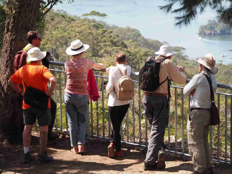 Hornsby Shire Council's free bushwalks