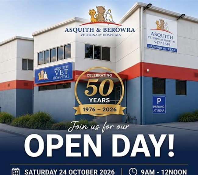 Asquith Veterinary Hospital 50th Birthday Open Day